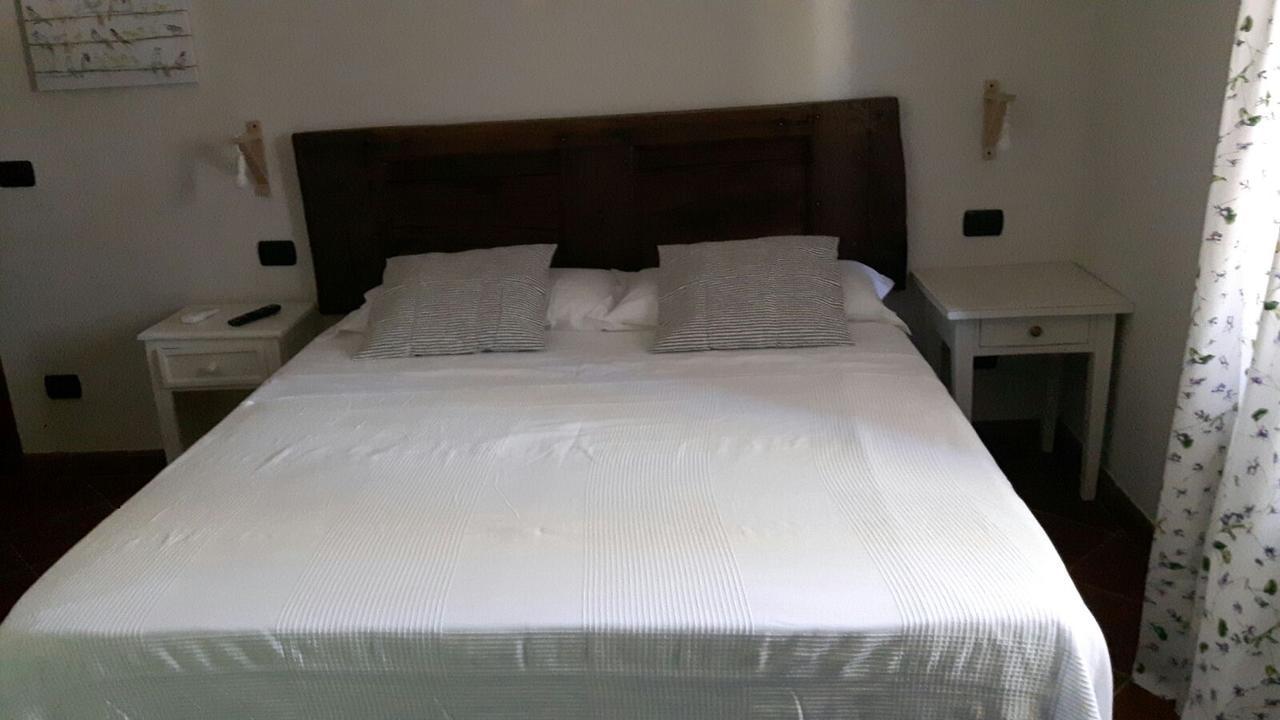 B&B Ocagiuliva Riparbella Kültér fotó