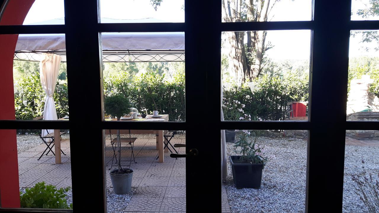 B&B Ocagiuliva Riparbella Kültér fotó