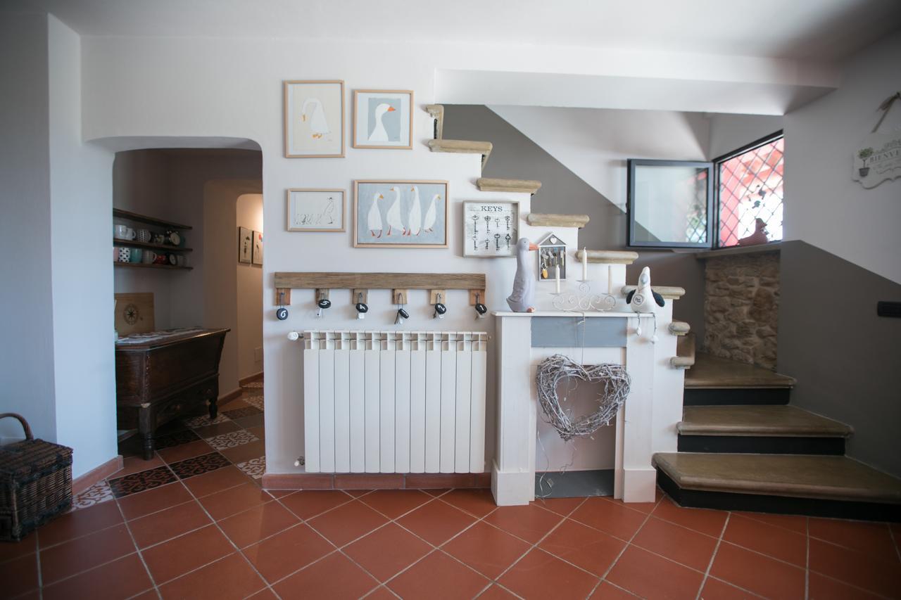 B&B Ocagiuliva Riparbella Kültér fotó