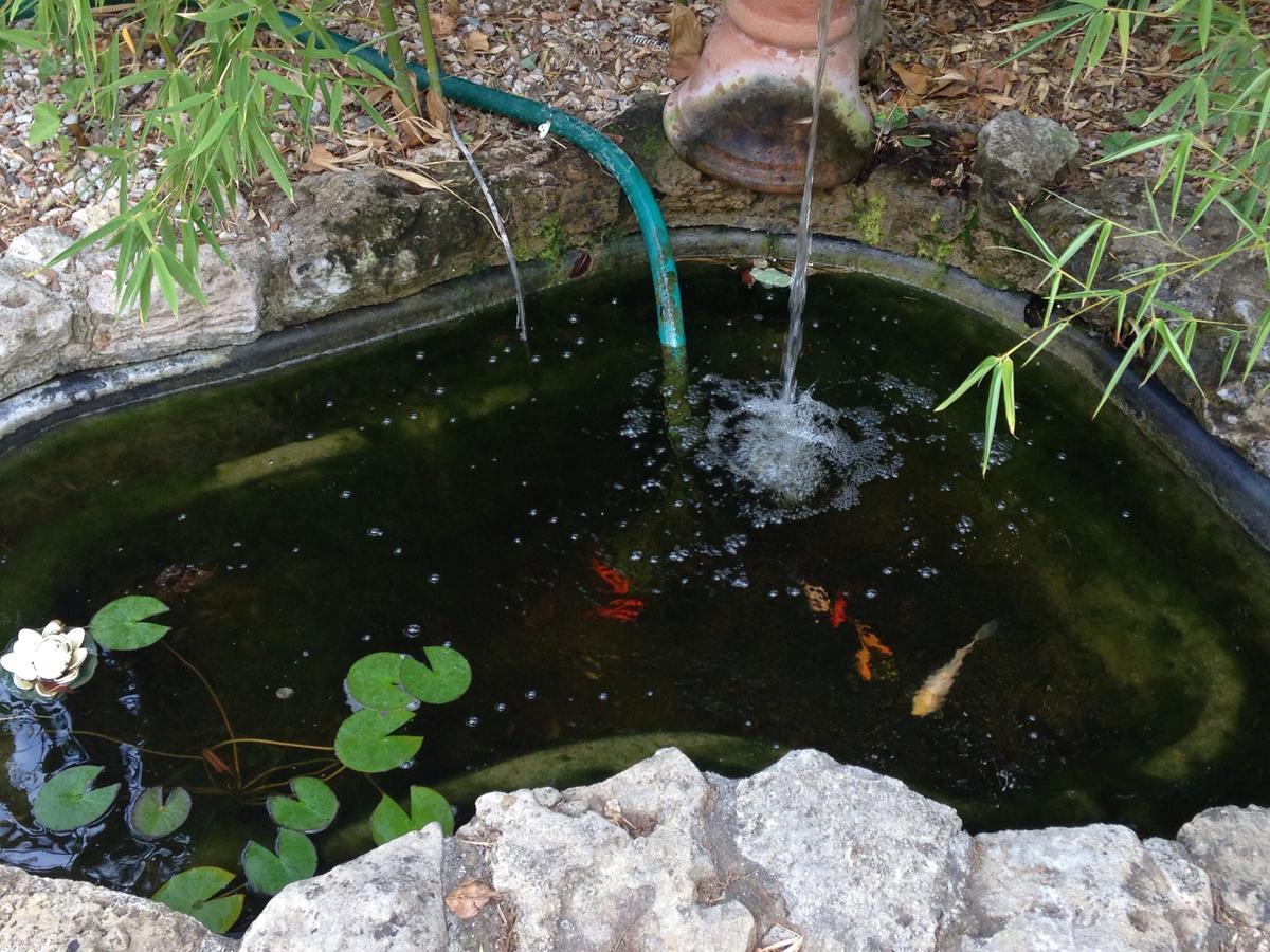 B&B Ocagiuliva Riparbella Kültér fotó